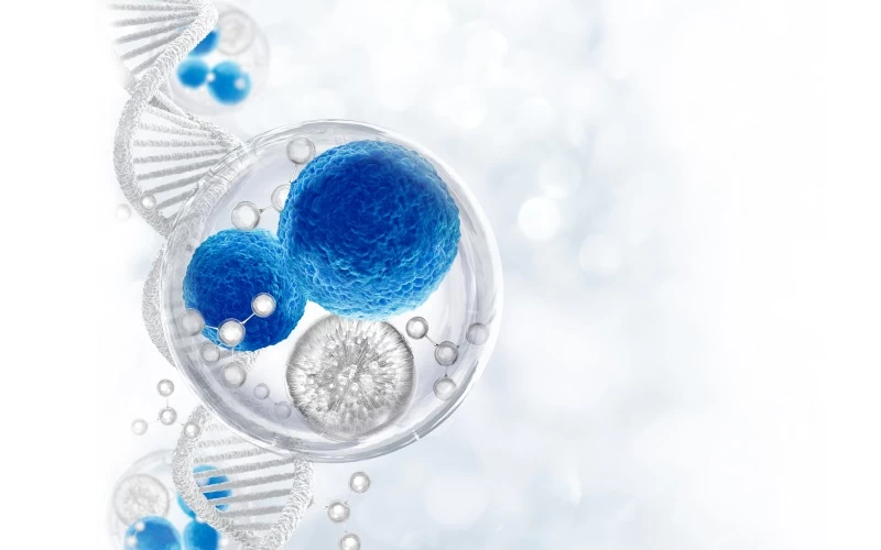 Hücrelerim de Yaşlanıyor mu?